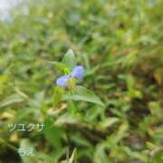 ヒメ日記 2025/07/18 12:33 投稿 もえ 完熟ばなな西川口