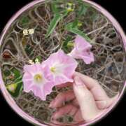 ヒメ日記 2025/09/12 12:04 投稿 もえ 完熟ばなな西川口