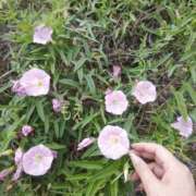 ヒメ日記 2025/10/02 13:01 投稿 もえ 完熟ばなな西川口