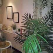 ヒメ日記 2025/06/09 02:18 投稿 そよこ 熟女の風俗最終章 高崎店