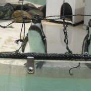 ヒメ日記 2025/06/15 18:51 投稿 そよこ 熟女の風俗最終章 高崎店