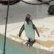 ヒメ日記 2025/07/06 16:48 投稿 そよこ 熟女の風俗最終章 高崎店