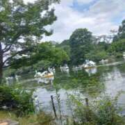 ヒメ日記 2025/11/30 07:38 投稿 そよこ 熟女の風俗最終章 高崎店