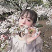 ヒメ日記 2025/06/09 12:07 投稿 ひとみ One More 奥様　五反田店