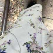 ヒメ日記 2025/07/07 20:51 投稿 ひとみ One More 奥様　五反田店