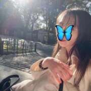 ヒメ日記 2026/01/15 04:57 投稿 ひとみ One More 奥様　五反田店