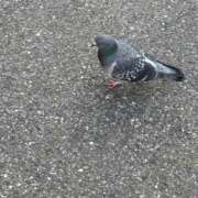 ヒメ日記 2026/02/15 18:21 投稿 ひとみ One More 奥様　五反田店