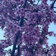 ヒメ日記 2026/03/04 19:29 投稿 ひとみ One More 奥様　五反田店