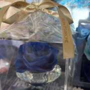 ヒメ日記 2026/03/07 16:32 投稿 ひとみ One More 奥様　五反田店