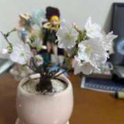 ヒメ日記 2026/03/19 06:47 投稿 ひとみ One More 奥様　五反田店