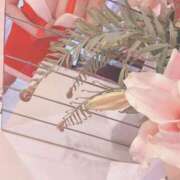 ヒメ日記 2025/12/24 19:21 投稿 なな 熟女の風俗最終章 宇都宮店