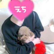 ヒメ日記 2026/01/19 12:03 投稿 本城すみれ 渋谷ガーデン