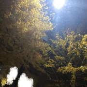 ヒメ日記 2026/02/20 06:06 投稿 乳川のあ 鬼イカセてくれないドス◯ベお姉さん