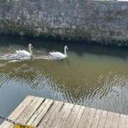ヒメ日記 2025/08/12 11:42 投稿 なみ まつど女学園