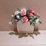 ヒメ日記 2025/10/10 11:41 投稿 なみ まつど女学園