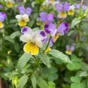 ヒメ日記 2025/10/24 11:55 投稿 なみ まつど女学園