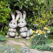 ヒメ日記 2025/11/11 12:13 投稿 なみ まつど女学園