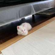 ヒメ日記 2025/06/19 08:03 投稿 なるみ 一力茶屋