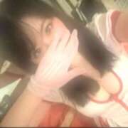 ヒメ日記 2025/11/29 08:00 投稿 りす ドリーム水戸