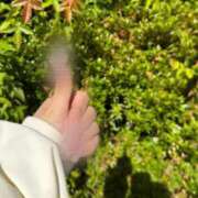 ヒメ日記 2025/06/07 11:24 投稿 らん Charme（シャルム）