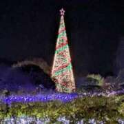 ヒメ日記 2025/12/09 15:06 投稿 玲 熟女の風俗最終章 新横浜店