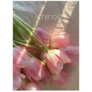 ヒメ日記 2025/09/15 01:58 投稿 一ノ瀬 メンズボディSPA 小山