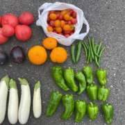 ヒメ日記 2025/06/20 10:16 投稿 川上りこ おいしい人妻熟女