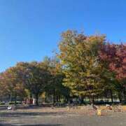 ヒメ日記 2025/11/16 09:29 投稿 川上りこ おいしい人妻熟女