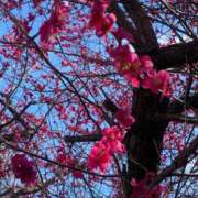 ヒメ日記 2026/02/28 10:25 投稿 川上りこ おいしい人妻熟女