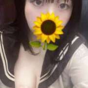 ヒメ日記 2025/06/11 13:03 投稿 るーと 浜松ハンパじゃない学園