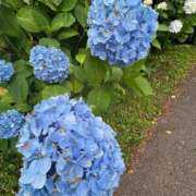 ヒメ日記 2025/06/21 14:28 投稿 カヲル とある風俗店♡やりすぎさーくる新宿大久保店♡で色んな無料オプションしてみました