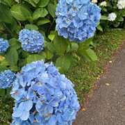 ヒメ日記 2025/06/21 14:48 投稿 カヲル とある風俗店♡やりすぎさーくる新宿大久保店♡で色んな無料オプションしてみました