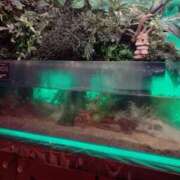 ヒメ日記 2025/07/05 20:50 投稿 国広 怜(くにひろれい) 五十路マダムエクスプレス厚木店(カサブランカグループ)