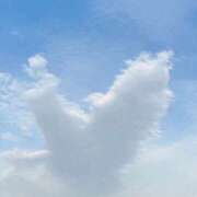 ヒメ日記 2026/04/05 16:32 投稿 国広 怜(くにひろれい) 五十路マダムエクスプレス厚木店(カサブランカグループ)