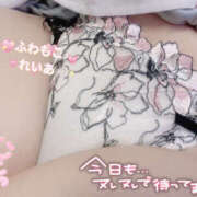 ヒメ日記 2025/07/26 09:03 投稿 れいあ ふわもこ人妻ランド　那須塩原店