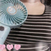 ヒメ日記 2025/08/19 16:33 投稿 れいあ ふわもこ人妻ランド　那須塩原店