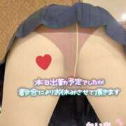 ヒメ日記 2025/12/11 09:48 投稿 れいあ ふわもこ人妻ランド　那須塩原店