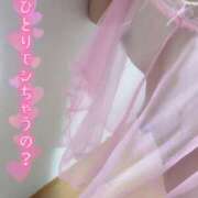 ヒメ日記 2025/07/30 19:06 投稿 有馬　さつき OL精薬