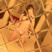 ヒメ日記 2025/06/21 15:22 投稿 星見 ティナ☆2 TiAmo（ティアモ）