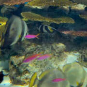 ヒメ日記 2025/09/08 10:33 投稿 白井 メンズボディSPA 小山