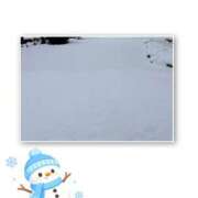 白井 予定 メンズボディSPA 小山