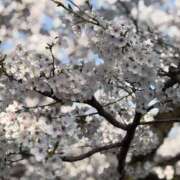 白井 今月前半の予定！ メンズボディSPA 小山