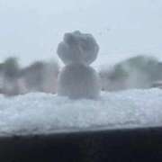 ヒメ日記 2026/02/08 10:16 投稿 川上りこ おいしい奥様