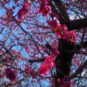 ヒメ日記 2026/02/28 10:56 投稿 川上りこ おいしい奥様