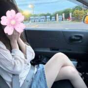 ヒメ日記 2025/06/09 12:42 投稿 ひろな【濃密ディープkiss】 ポニーテール和歌山店