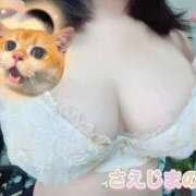 ヒメ日記 2025/10/10 18:01 投稿 冴島のの 五反田ウルトラファンタジー