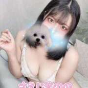 ヒメ日記 2026/05/12 00:37 投稿 冴島のの 五反田ウルトラファンタジー