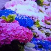 ヒメ日記 2025/06/05 22:00 投稿 もえ マドンナ浜松町