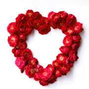 ヒメ日記 2025/06/24 10:48 投稿 もえ マドンナ浜松町