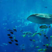 ヒメ日記 2025/07/15 10:34 投稿 もえ マドンナ浜松町